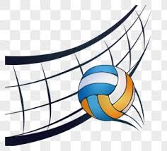 解析多伦多蓝鸟队的全国性支持